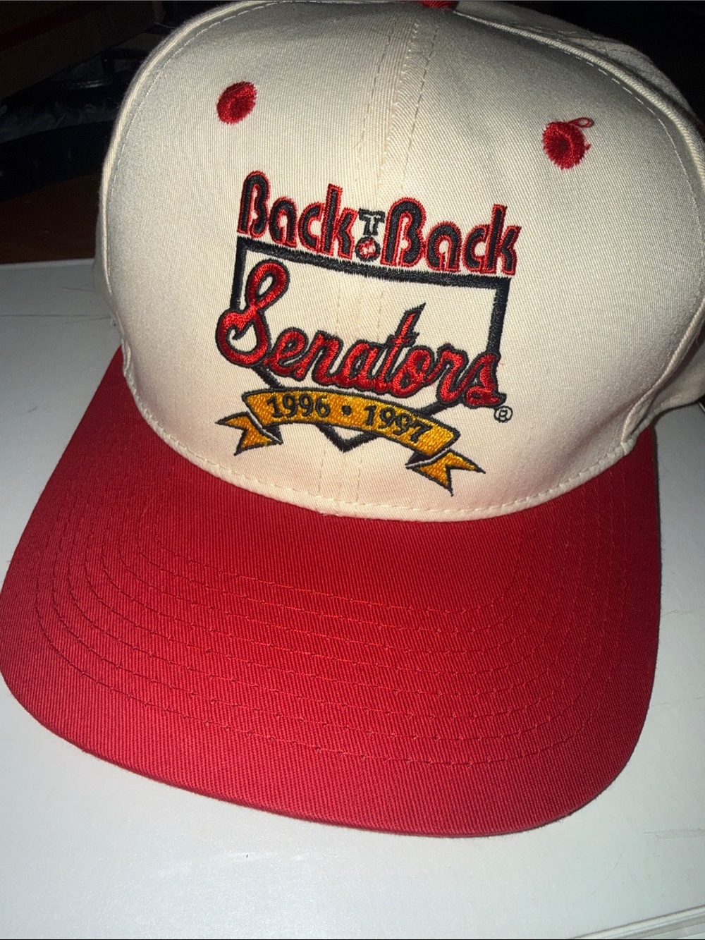 Vintage • 1996 Back to Back Legends Embroidered Baseball Cap